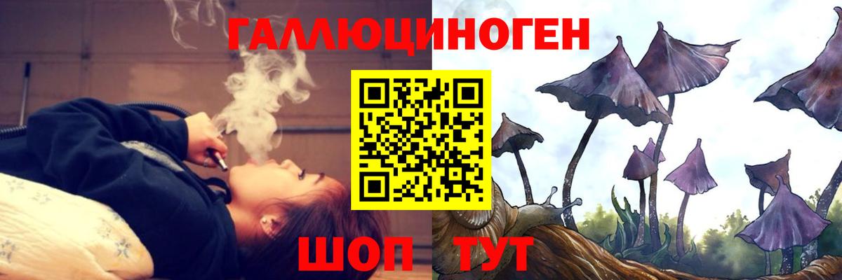 Галлюциногенные грибы ЛСД Томск