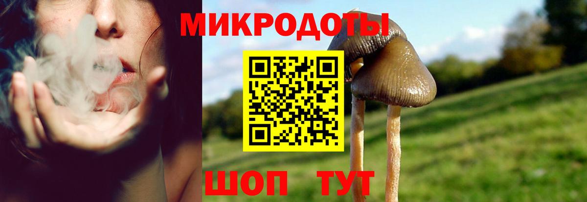 Псилоцибиновые грибы Cubensis  Вход с VPN  Томск 